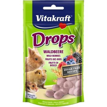 Vitakraft Drops erdei gyümölcsös jutalomfalat 75 g kép