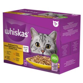 Whiskas baromfi tasakos eledel válogatás felnőtt macskák számára 4 x (12 x 85 g) kép