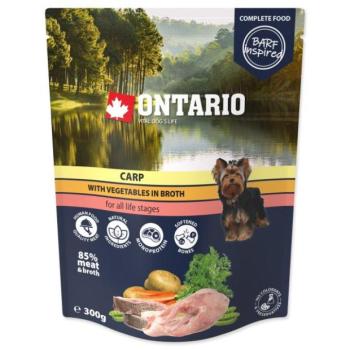 Zseb ontariói ponty zöldségekkel húslevesben 300g kép